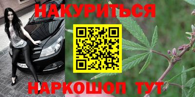 Альфа ПВП Тула