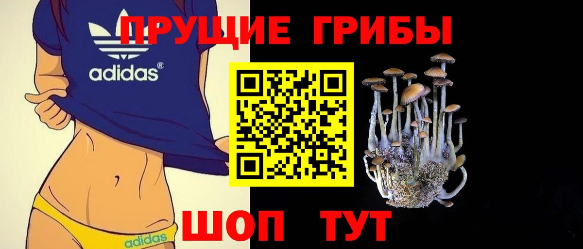 Галлюциногенные грибы Cubensis Нефтекумск