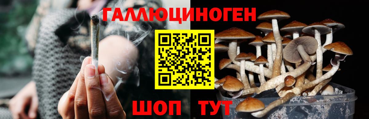 Псилоцибиновые грибы Psilocybine cubensis  Галлюциногенные грибы MAGIC MUSHROOMS  Вход с VPN  Нефтекумск 